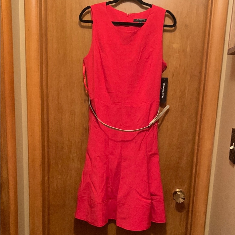 Sharagano Red Sleeveless Scoop Neck A-Line Mini Dress sz 14 (268)